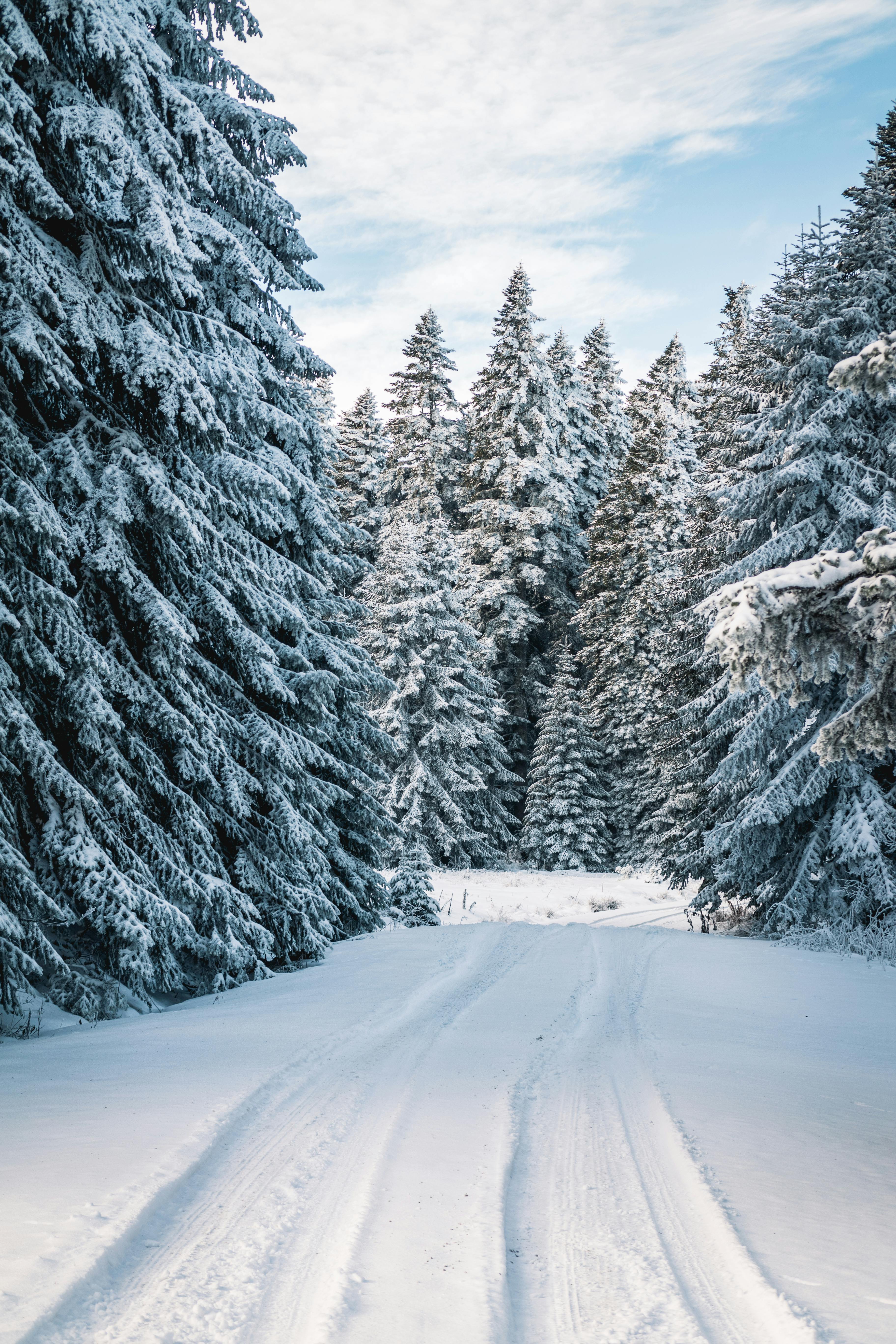 Pourquoi les Québécois aiment l’hiver, malgré tout